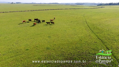 SAI NO TREM PELA VARZEA DO FUNDO.00_01_34_02.Quadro018_8875a456702b4326362d8743bf0bd4f4edde6d09.jpg
